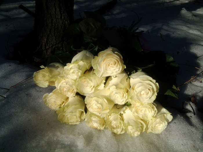 20140430_192059 (700x525, 128Kb)