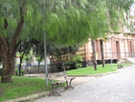  IMG_1302 (640x480, 332Kb)