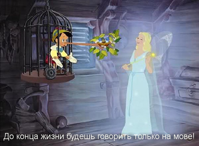        ! (660x484, 98Kb)