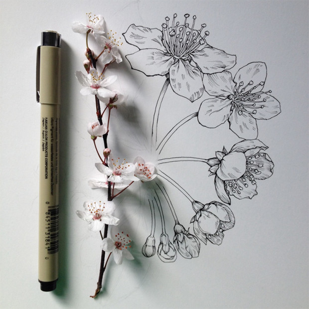 3623822_flowers6620x620 (620x620, 97Kb)