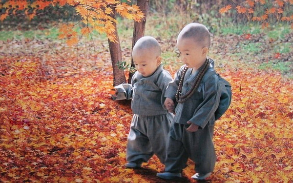 tibet-kids (600x375, 255Kb)