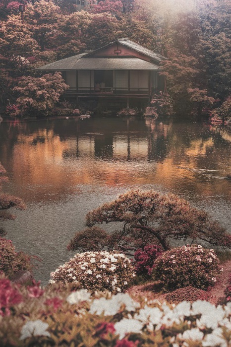 image (466x700, 178Kb)
