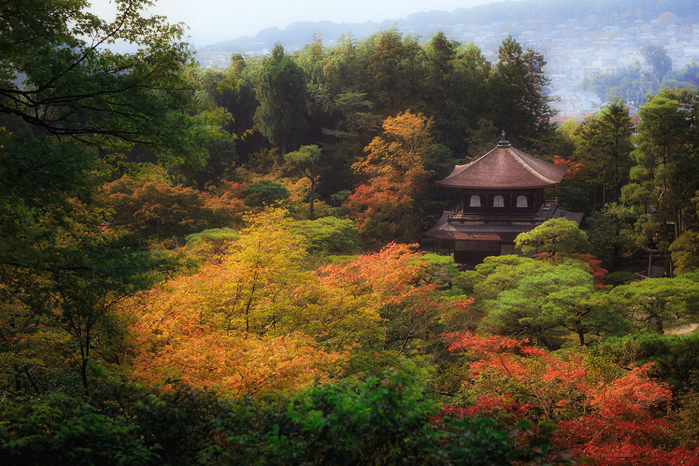 Autumn colors of Ginkaku-ji (700x466, 539Kb)