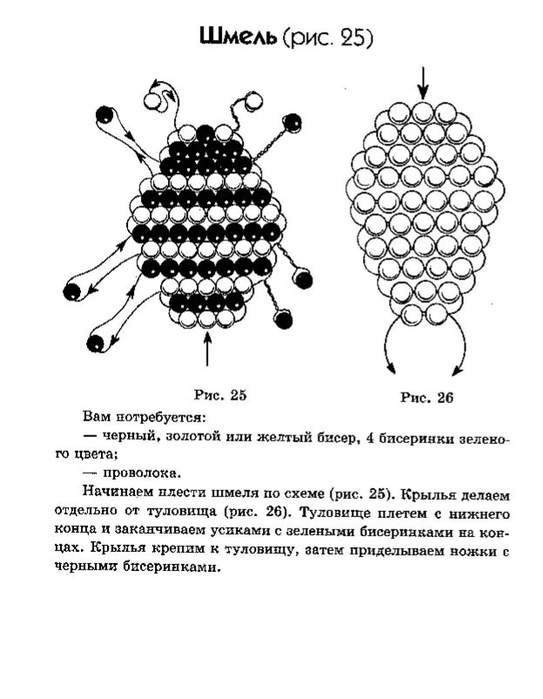 Строение шмеля схема