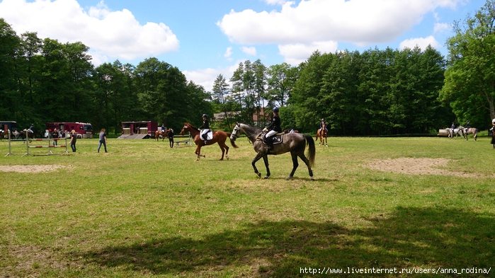 DSC_0547 (700x393, 299Kb)