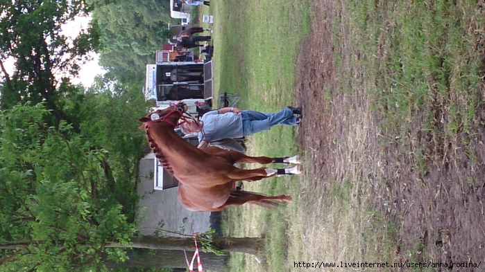 DSC_0650 (700x393, 295Kb)