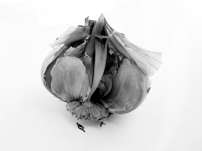  263a (700x525, 110Kb)