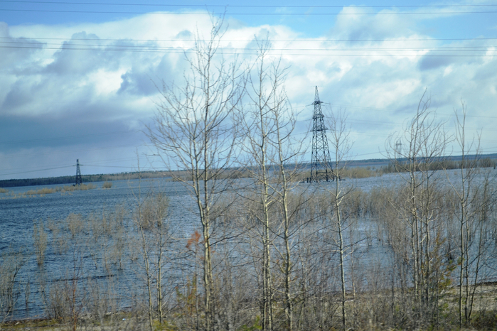 _DSC1473 (700x466, 435Kb)