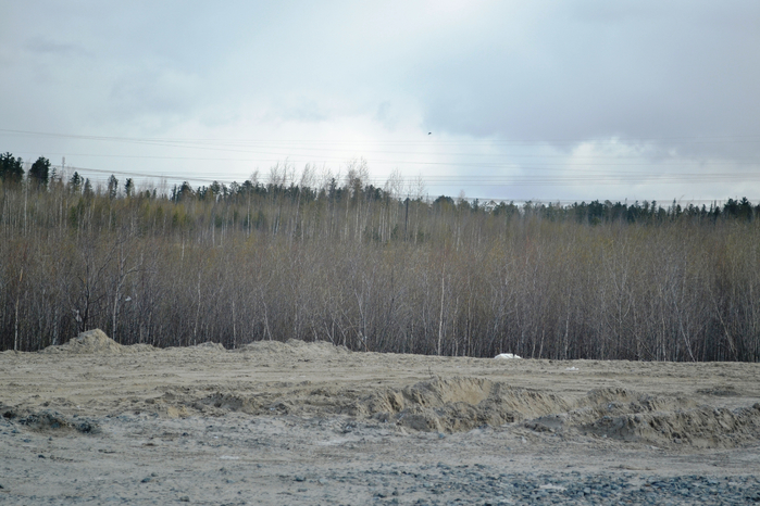_DSC1477 (700x466, 359Kb)