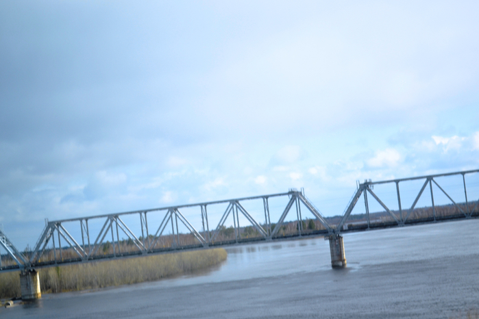 _DSC1483 (700x466, 281Kb)