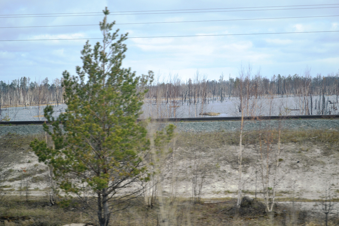 _DSC1486 (700x466, 403Kb)