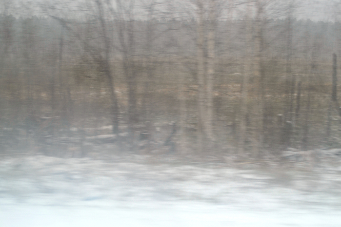 _DSC1441 (700x466, 298Kb)