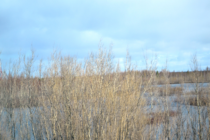_DSC1482 (700x466, 422Kb)