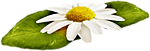 5227673_0_a1cc4_f516d743_S (150x51, 12Kb)