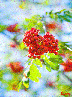 1057129 (240x320, 625Kb)