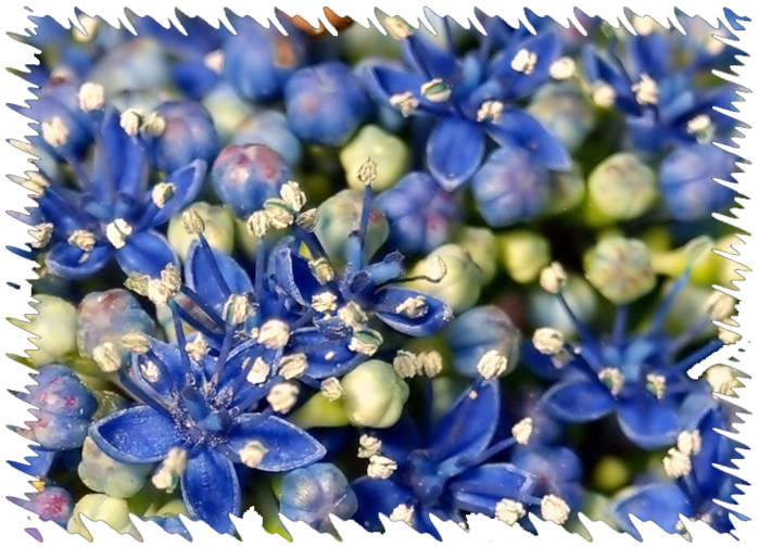0_a9829_8c506e98_XL (700x504, 651Kb)