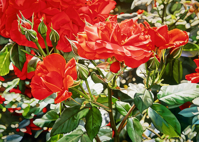 4610040_flowergallery11 (700x500, 154Kb)