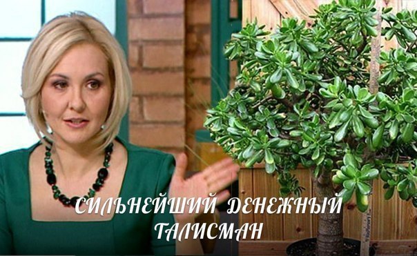  (604x371, 68Kb)
