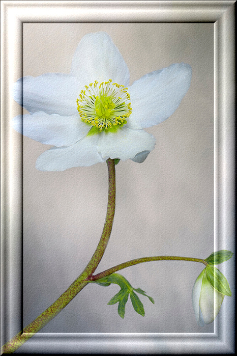 05 (466x700, 351Kb)