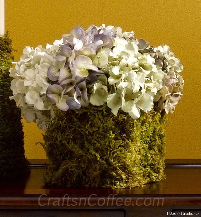 diy-hydrangea-and-moss-cube (640x692, 306Kb)