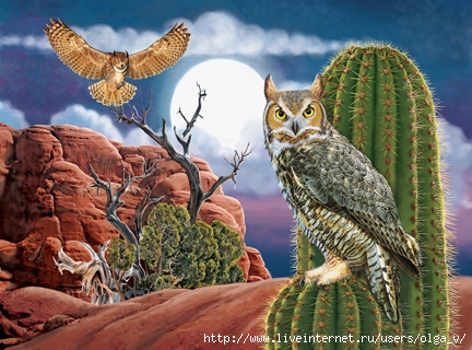 Great Horned Owl In The Desert72 (432x320, 154Kb)