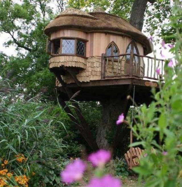 tree-houses-for-adults-40-pics_17 (640x657, 378Kb)