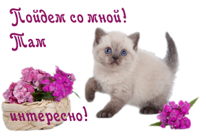 117580309_90042184_0_8b6a6_fff808de_Mkopirovanie (300x199, 77Kb)