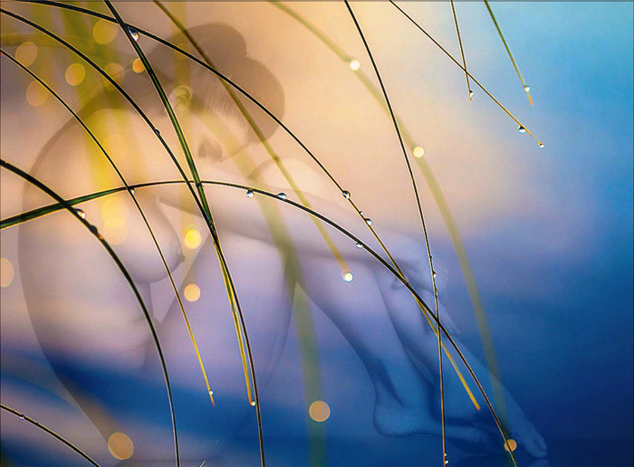 2731417_1000[1] (700x516, 406Kb)