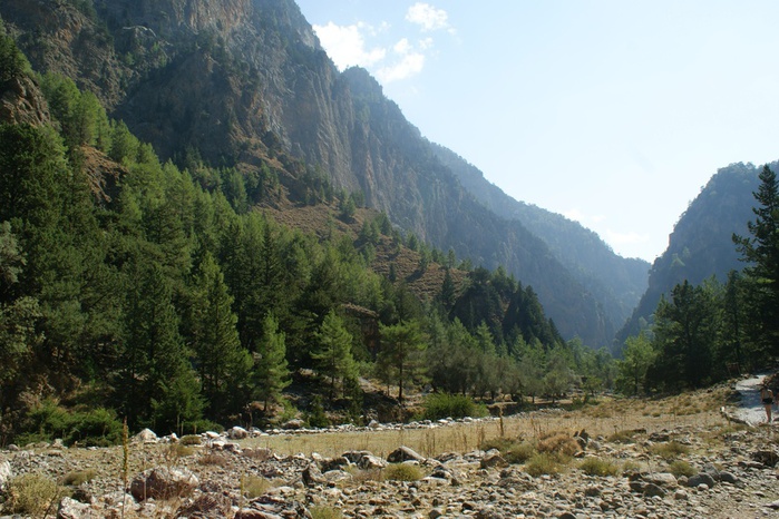 image (700x466, 155Kb)