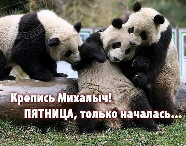 image (600x473, 284Kb)