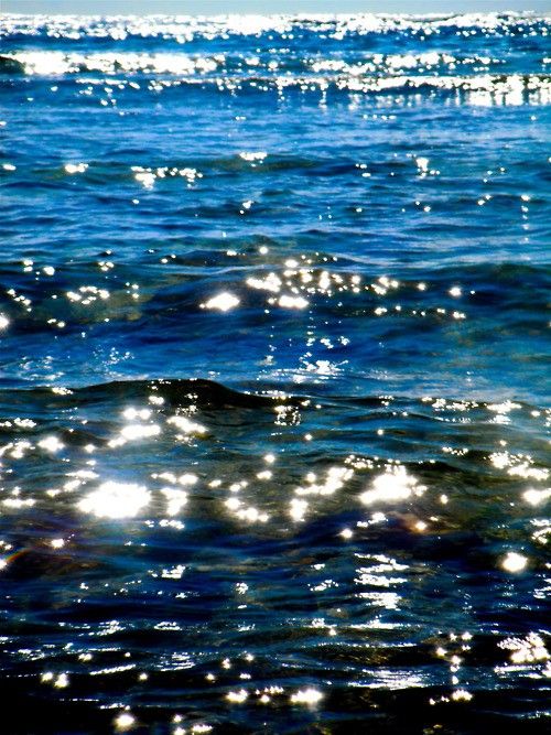 3623822_sea10 (500x667, 91Kb)