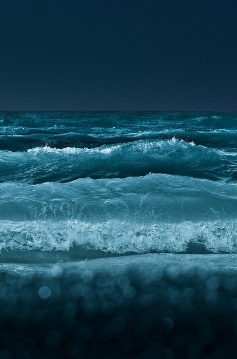 3623822_sea13 (462x700, 75Kb)