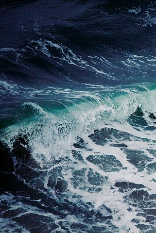 3623822_sea14 (321x480, 96Kb)