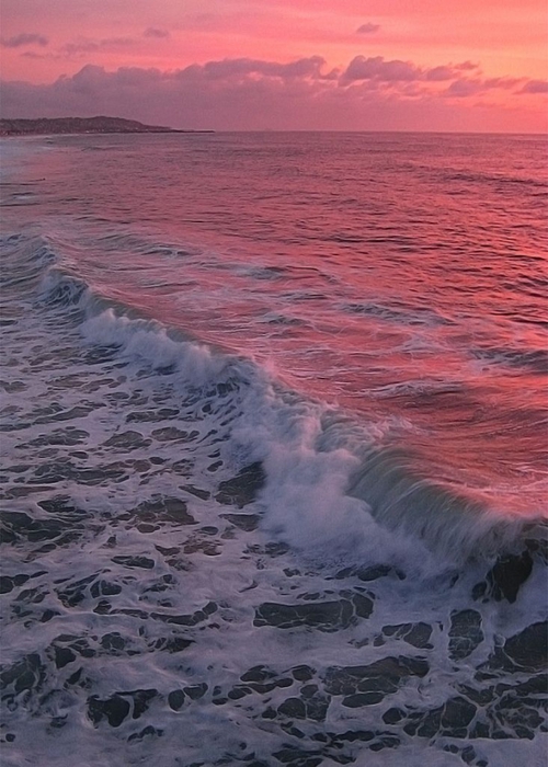 3623822_sea9 (500x700, 250Kb)