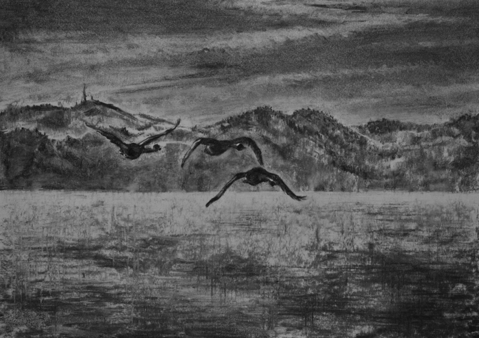 012 (2) (700x494, 229Kb)