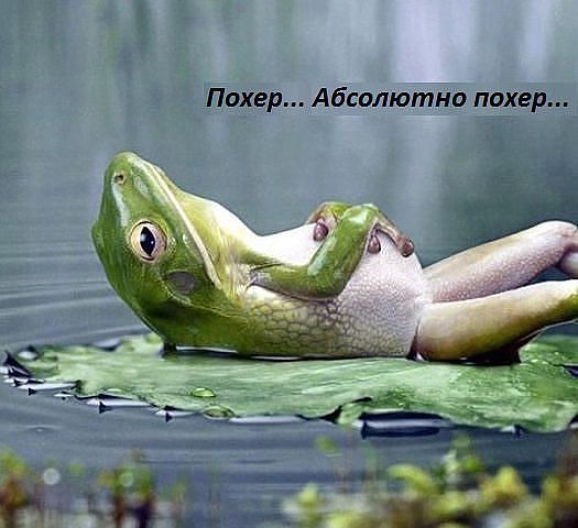 2 (525x480, 40Kb)