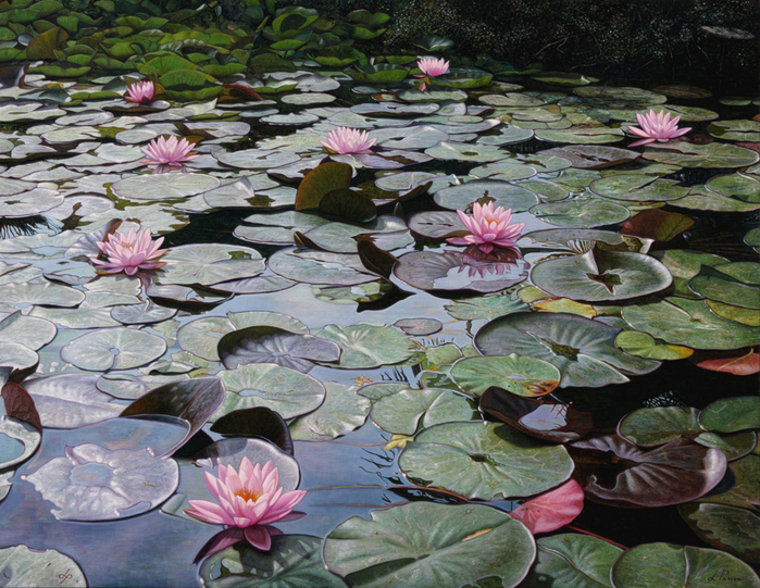 3623822_Lily_water_70x90_oil_painting_on_wood_2012 (700x541, 498Kb)