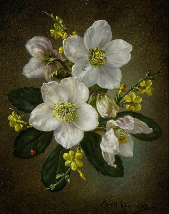 3623822_cc25 (554x700, 86Kb)