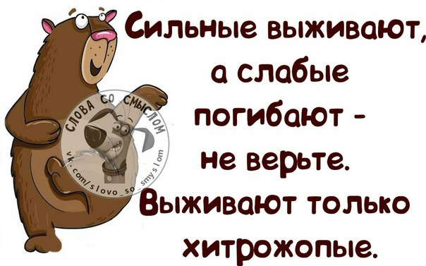 выжить (604x377, 189Kb)