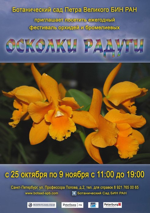 CkAbfzI9G3M (492x700, 76Kb)