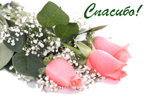 87063385_Gentile_roses__33_kopirovanie (300x201, 107Kb)