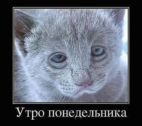 3245507_getImage_5 (492x437, 42Kb)