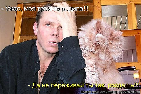 3245507_getImage_8 (492x328, 52Kb)