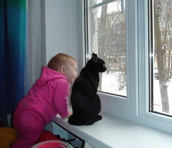 3245507_mama_pridet__tebe_sisky_mne_sosisky (556x480, 43Kb)