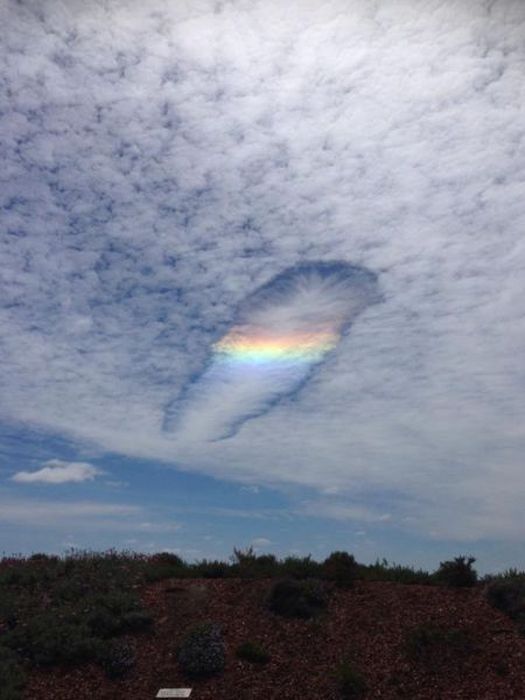 3623822_unusual_natural_phenomena_06 (525x700, 40Kb)