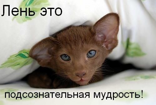3245507_b4c2be (500x338, 73Kb)