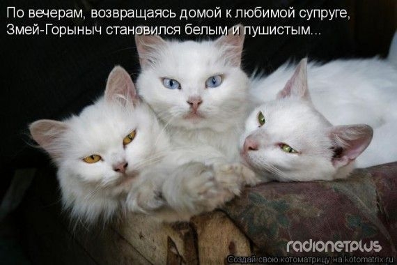 1358327294_www.radionetplus.ru_12 (570x380, 108Kb)