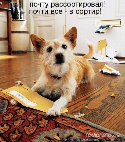 1358327302_www.radionetplus.ru_3 (504x570, 198Kb)