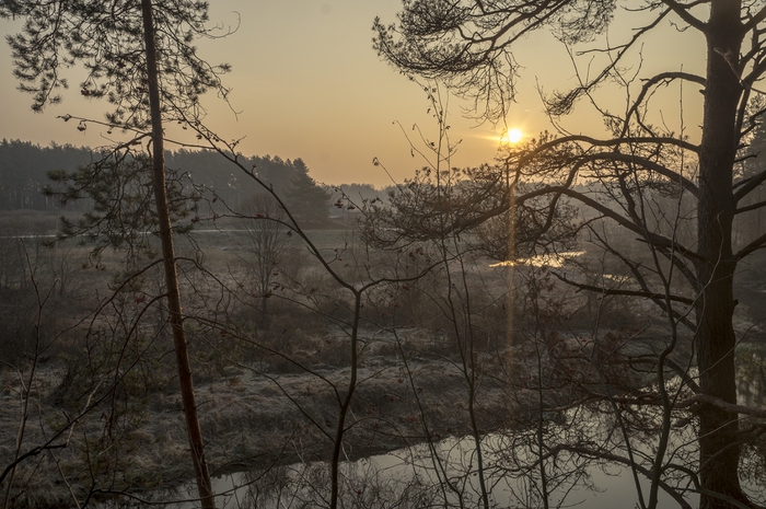 4213829_22 (700x465, 279Kb)