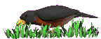 4159622_37f2f11a1ddeca430487216175192370 (144x56, 10Kb)